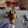 Chocolat mou